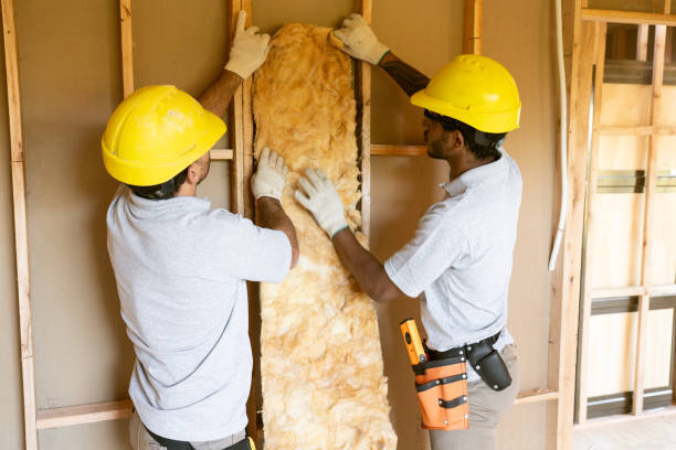 Best Local Insulation Services  in Cera, AL