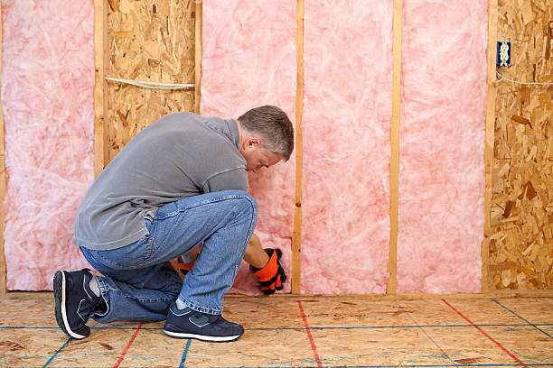 Best Commercial Insulation Contractor  in Cera, AL