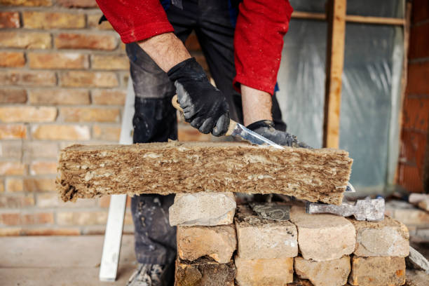 Best Cellulose Insulation  in Cera, AL